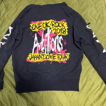 ONE OK ROCK 2018 후드티