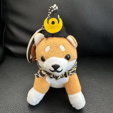 구마모토 한정판 콩시바 심부름 콩시바 봉제 인형 시바견 마스코트