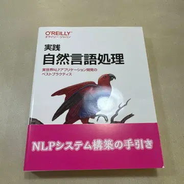 실천 자연어 처리 : 실세계 NLP 애플리케이션 개발의 베스트 프랙티스
