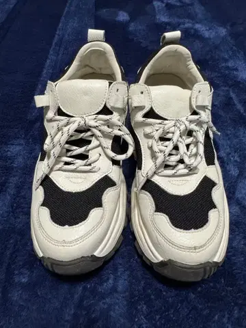 캐널진 화이트/블랙 스니커즈 통굽 디자인