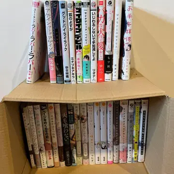 여성 만화 31권 세트