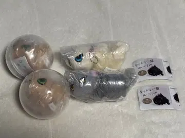 따르지 않는 고양이