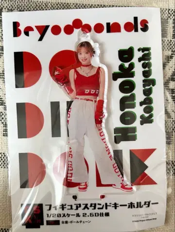 고바야시 모에카 DDD 의상 아크릴 스탠드 FSK