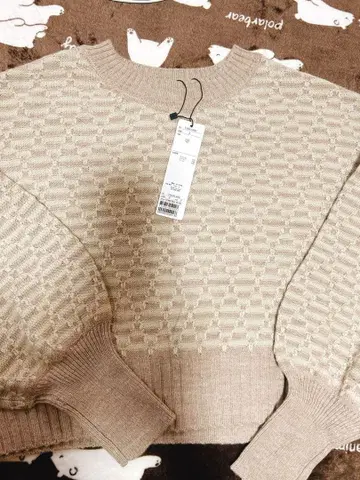 코코딜 보더 니트