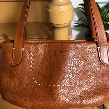 귀여운 겐텐 미니 보스턴 genten