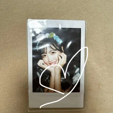 후르츠 지퍼 사쿠라이 유이 폴라로이드