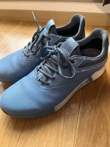 ECCO 골프화 블루