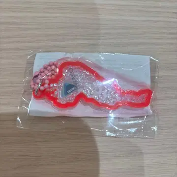 비와호 키링 이부키산