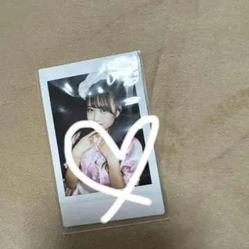 후르츠 지퍼 마츠모토 카렌 폴라로이드