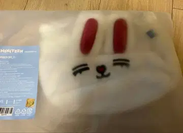 seventeen 세븐틴 세부치 miniteen 에스쿱스 파우치 승철