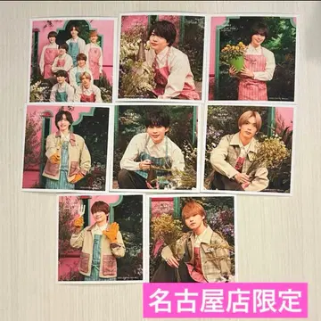 나니와단시 정사각형 포토 나고야점 한정 Spring 8장