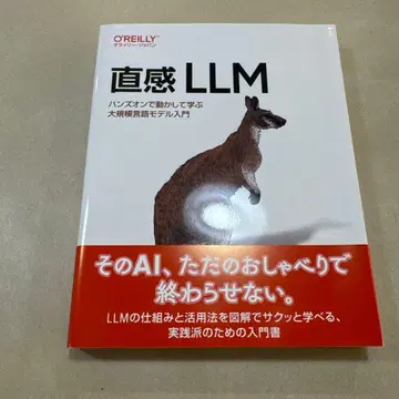 직관 LLM : 핸즈온으로 움직여 배우는 대규모 언어 모델 입문