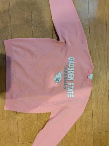 Champion 맨투맨 핑크