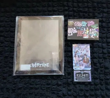 니지 페스 overture Daytime