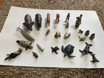 아니아 묶음 판매 23체