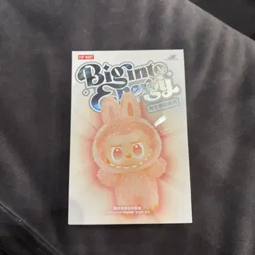 POP MART 러브브 에너지 정품 미개봉품