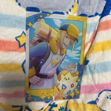 포켓몬 아크릴 아트 패널 워로