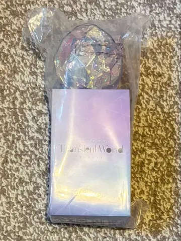 access TOUR 2025 Transient World 오로라 응원봉