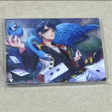 트위스테 기숙사복 아쿠브로 듀스