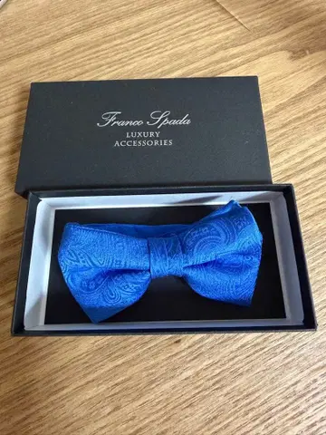 Franco Spada 페이즐리 보타이 파랑