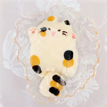 삼색 고양이 해외 스퀴즈 쪼물쪼물