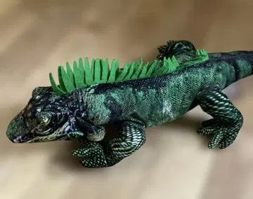 봉제 인형 wild graphy 이구아나