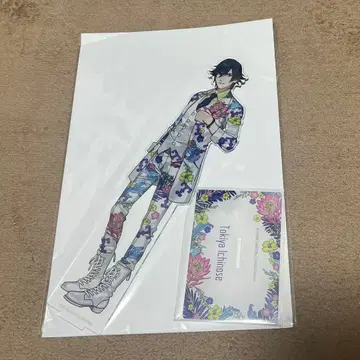 토키야 BIG 아크릴 스탠드 PRINCESUMMER 보타니컬ver.