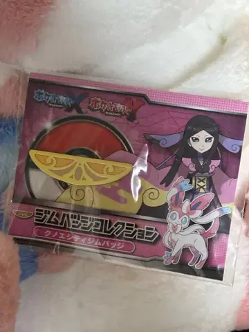 포켓몬 센터 한정판 헬스장 배지 XY 컬렉션 쿠노시티 헬스장 배지