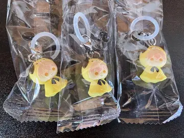 시쿠포니 메지루시 액세서리 미코토