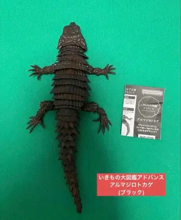 생물대도감 어드밴스 아르마딜로 도마뱀 블랙 피규어