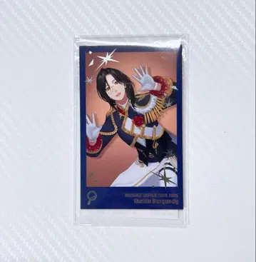 폴라로이드풍 카드 세트 셰린