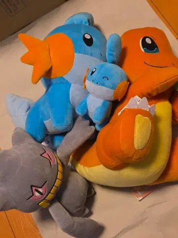 포켓몬 봉제 인형 4점 묶음 판매