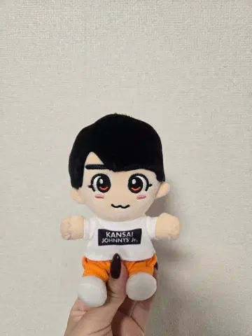 나니와단시 오오니시 류세이 치비누이