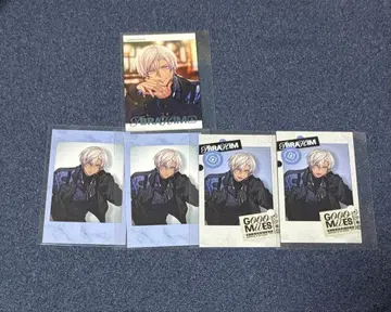 니지산지 이브라힘 고미즈 폴라로이드