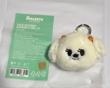 TXT 뿔바투 페이스 키링 밤굿