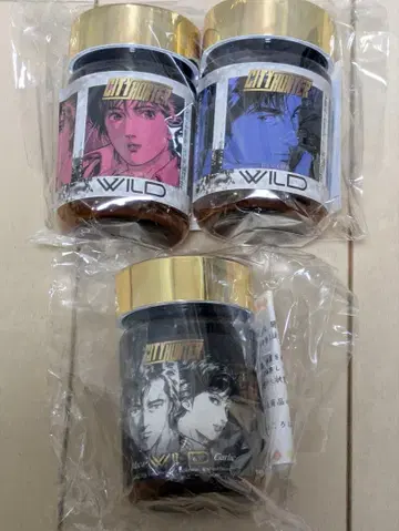 시티 헌터 서플리먼트 케이스