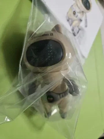 바케탄 블로그 바케탄맨 아이보리