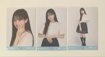 노기자카46 브로마이드 세토구치 신츠키 카가와 라이브T셔츠 3종 컴프