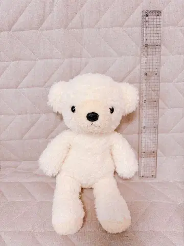 [] 곰, 봉제 인형, M, 28cm, 크림