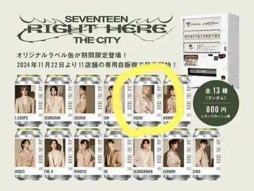 2장 호시 SEVENTEEN [RIGHT HERE] 캔 스티커