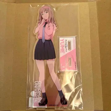 미나미 유메 -SSSS.BIRTHDAY- 메가 아크릴 스탠드
