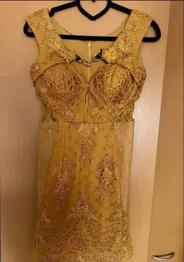 ROSE de FLEURS Glossy 골드 타이트 드레스