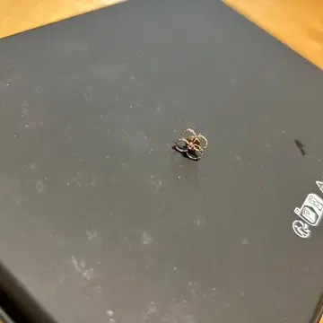 귀걸이 핑크 골드 한쪽 귀