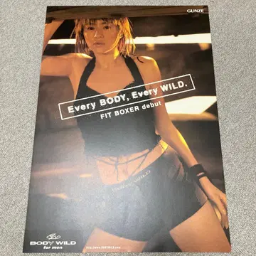 이노카와 하루카 BODY WILD FIT BOXER 포스터 새상품급 군제