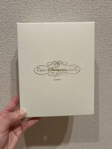 디즈니랜드 호텔 포토 프레임 사진 액자 한정판 숙박자 한정