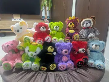 지역 한정 베어 묶음 판매 11체