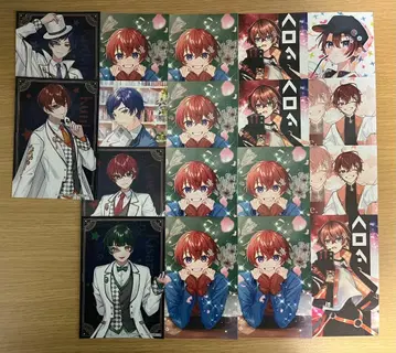 스타폴라 브로마이드 L판