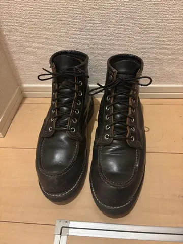 레드윙 9874 밑창 교환 완료