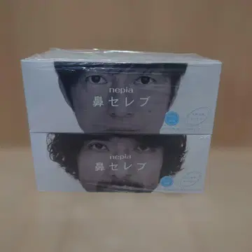 Mr.Children Thanksgiving 투어 하나세레브 티슈