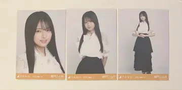 노기자카46 브로마이드 세토구치 신츠키 빅 보타이 블라우스 3종 컴프